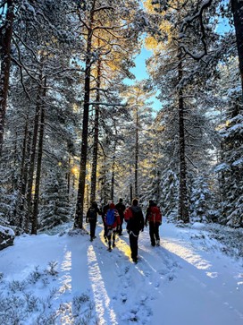 idrett og friluftsliv