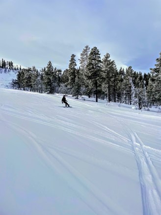 idrett og friluftsliv