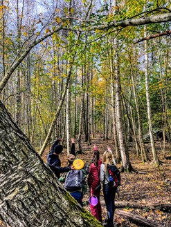 idrett og friluftsliv