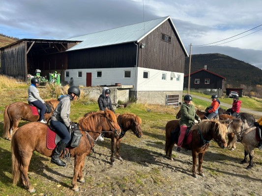 en gruppe mennesker som rir på hester