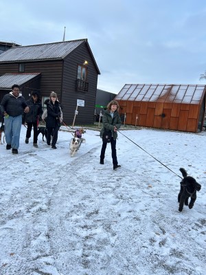 En gruppe mennesker som lufter hunder i snøen