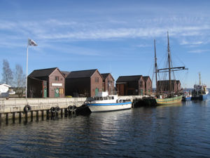 Naustene